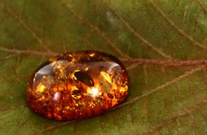 Pietre preziose- particolare di ambra