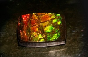 Ammolite- Gioielli Juwelo