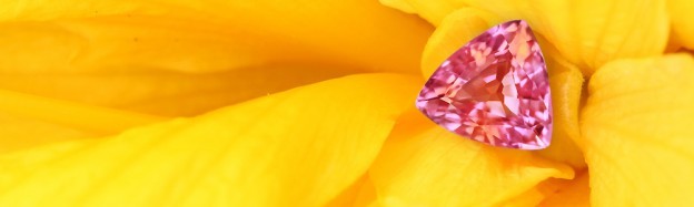 Pink_Sapphire_header