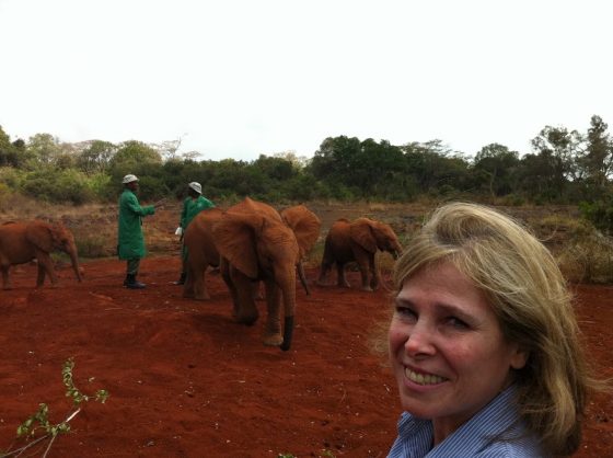 Cuini e gli elefanti in Kenya