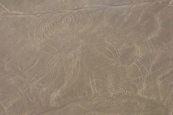 scimmia disegnata nel deserto nazca